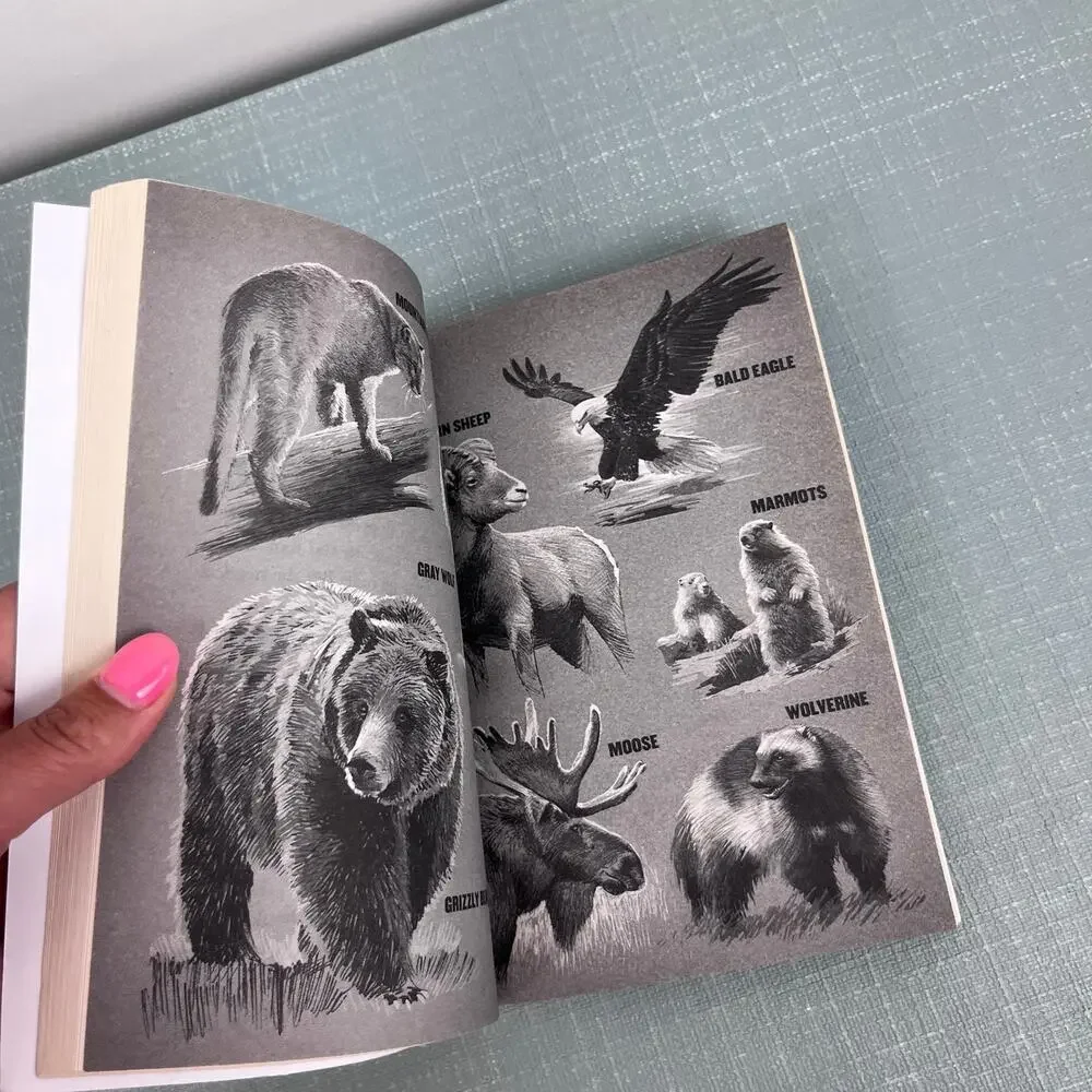 I Survived the Attack of the Grizzlies, 1967 Chapter Book Lauren Tarshis